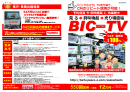 最新【ビックカメラ】BIC-TV_20140812_ppt [互換モード]
