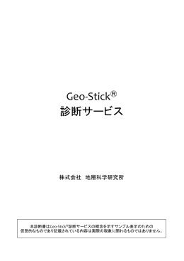診断サービス Geo-Stick