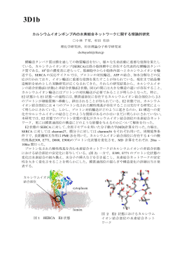 カルシウムイオンポンプ内の水素結合ネットワークに関する理論的研究
