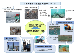 日本海地域の漁業振興対策のイメージ