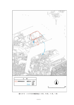 図 6.6-12 ハイタカの確認地点（4 月、10 月、11 月、1 月）