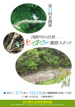 観察スポット - 石川県立自然史資料館