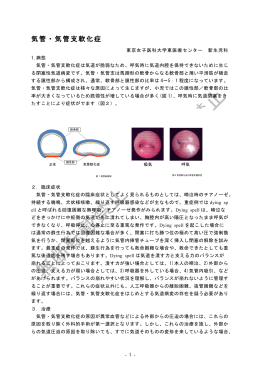 気管・気管支軟化症 - 東京女子医科大学