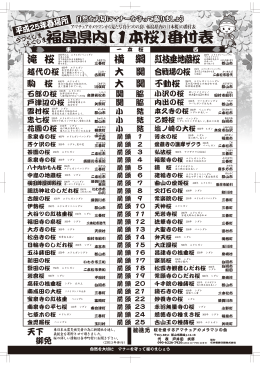 平成25年春場所 福島県内一本桜番付表