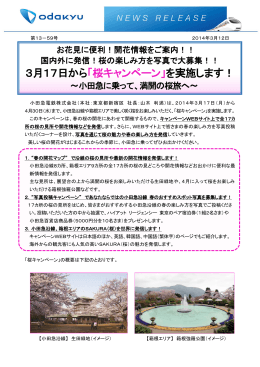 3月17日から「桜キャンペーン」を実施します！