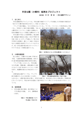 手宮公園（小樽市）桜再生プロジェクト