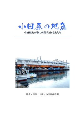 PDFファイル - 小田原魚市場