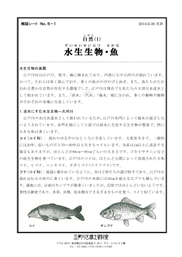 (1) 水生生物・魚（PDF：385KB）