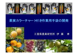 果実カラーチャート付き作業用手袋の開発