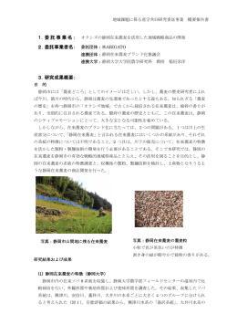 オクシズの静岡在来蕎麦を活用した地域戦略商品の - B
