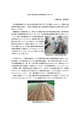 『安全な農作物の生産技術確立に向けて』 土壌肥料部 鷲尾英樹 古川