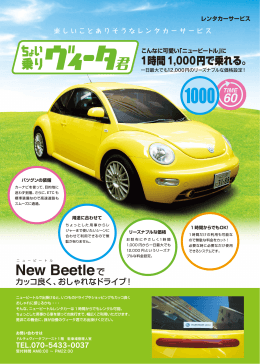 New Beetleで