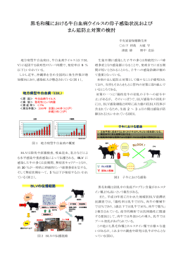 黒毛和種における牛白血病ウイルスの母子感染状況および
