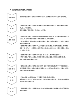 ＊苦情解決の流れの概要