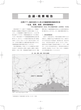 広西チワン族自治区から見る中越国境地域経済交流―北海、東興、南寧