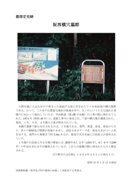 坂西横穴墓群 [426KB pdfファイル]