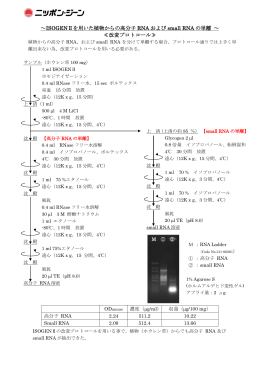 植物からの高分子RNAおよびsmall RNAの単離例 (PDF 218KB)
