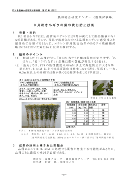 8月咲き小ギクの葉の黄化防止技術（PDF：582KB）