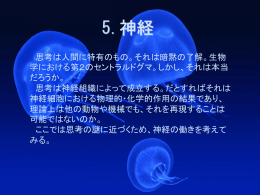No.5 神経