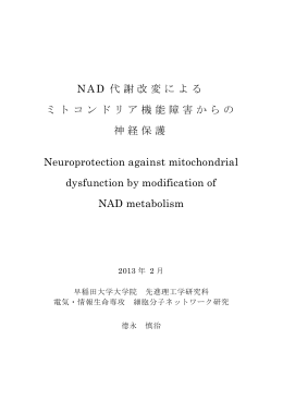NAD 代謝改変による ミトコンドリア機能障害からの 神経保護