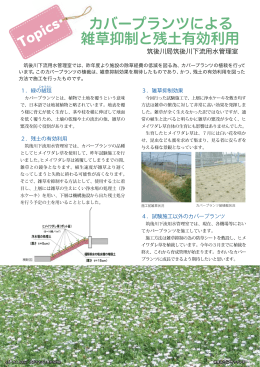 カバープランツによる 雑草抑制と残土有効利用