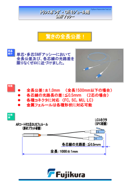 全長公差：±1.0mm （全長1500mm以下の場合） 各芯線の光路長の差