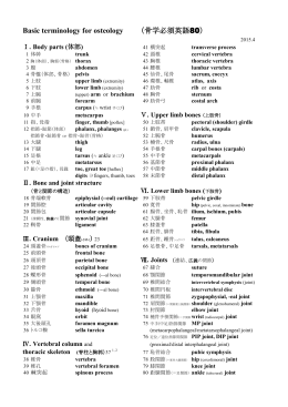Basic terminology for osteology （骨学必須英語80）