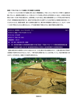 国道 17 号小千谷バイパス建設に伴う埋蔵文化財調査