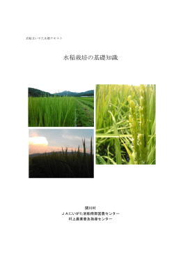 水稲栽培の基礎知識