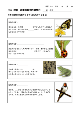 小4 理科 四季の動物と植物①