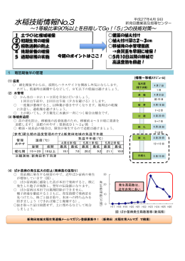 水稲技術情報NO.3 - コピー