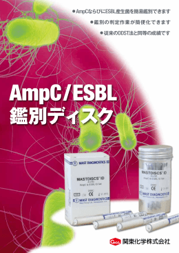 AmpC/ESBL鑑別ディスク