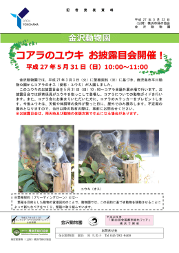 沢動物園 コアラのユウキ お披露  会開催！ 平成 27 年 5 月 31 日