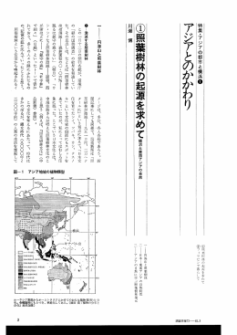 （1）照葉樹林の起源を求めて 横浜と東南アジアの自然