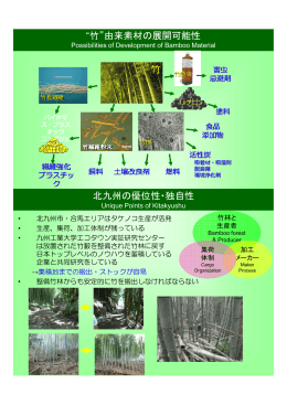 “竹”由来素材の展開可能性 北九州の優位性・独自性