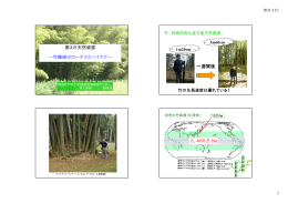 第3の天然資源 ―竹繊維のローテクとハイテク― 一週間後 2，400万 ha