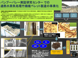 加熱水蒸気処理竹繊維製造の事業化（PDF）