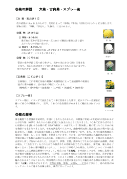 菊の解説 大菊・古典菊・スプレー菊 菊の歴史