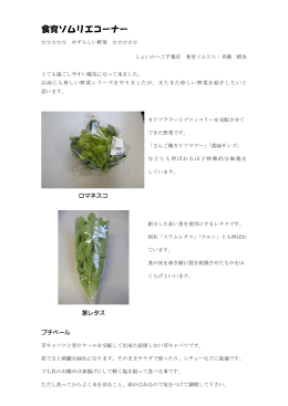 めずらしい野菜 食育ソムリエ：斉藤 晴美