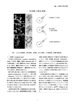 全奇胎と部分奇胎 - 日本人類遺伝学会 臨床細胞遺伝学認定士制度