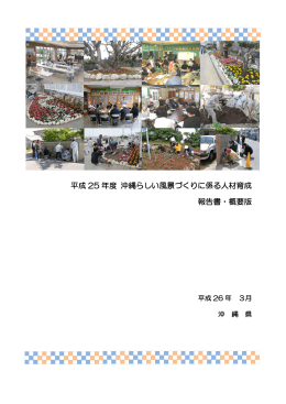 平成 25 年度 沖縄らしい風景づくりに係る人材育成 報告書・概要版