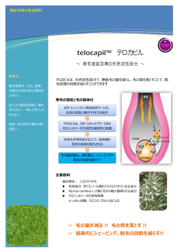 Information Technology Solutions telocapil™ テロカピル