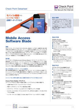Mobile Access Software Blade
