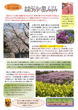 左の写真が根来寺の・・・近くに咲いていた桜です。