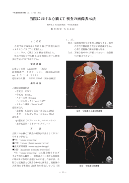 当院における心臓 CT 検査の画像表示法