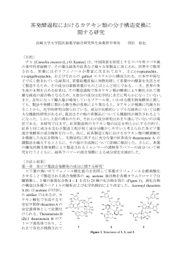 茶発酵過程におけるカテキン類の分子構造変換に 関する研究