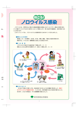 防ごう！ノロウイルス感染【東京都福祉保健局作成】（PDF：481KB）