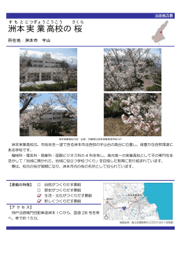 洲本実業高校の桜（PDF：90KB）