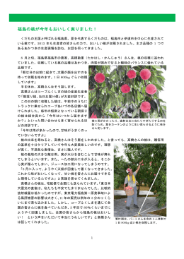 福島の桃生産者レポート(pdf