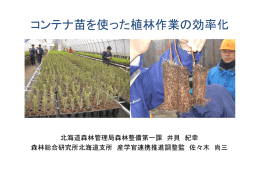 コンテナ苗を使った植林作業の効率化